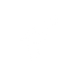 Bullets Fly Games