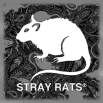 Stray Rats