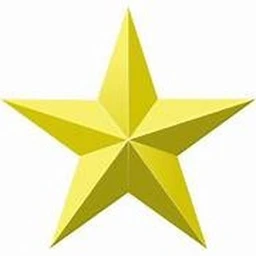 the star show icon