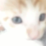 *-cxsies-* Group Thumbnail