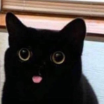 KitKat ;-;