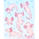 The Dynamic Axolotls