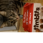 The cat eats a apple and the dog