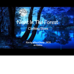 Night In The Forest
