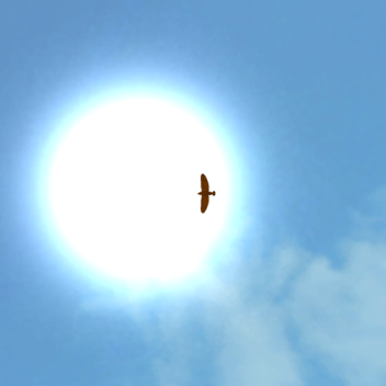 Dynamic Bird