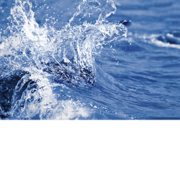 everything is WATER