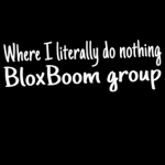 BloxBoom Group