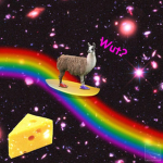 llamas silly gang