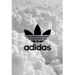 NOAH23182318