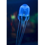 The Mega Jellyfish