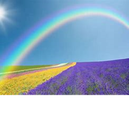 The rainbow fun obby