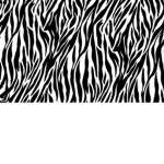 Zebra Friends
