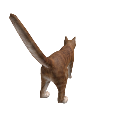 catte