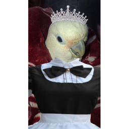 Babo's Wedding Palace