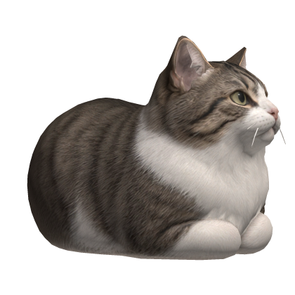 Cat Loaf