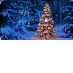 Snowy lands