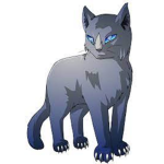 warriors cats fan club :o