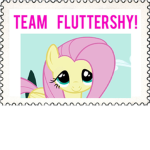 Team Fluttershy!