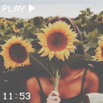 -sunflowers attic-