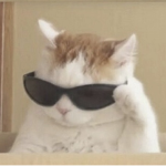 Gang dei baby