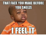 The Funny Memes!