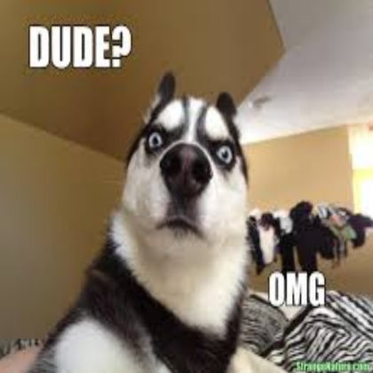 Dog Roblox decal