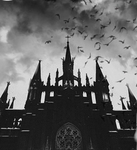.~*Blurry's Bat Cave*~.