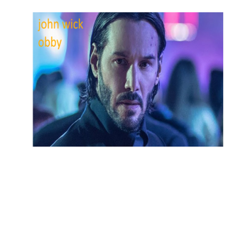 john wick  obby