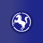 ROKAㅣ9th Infantry Division
