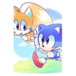 STOP THE SONIC MEMES!