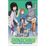 shinachiku naruto next generation