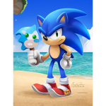 Sonic Noobys!