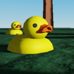 Duck Garden