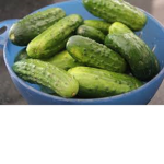 #PICKLES GROUP