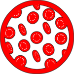 [FC] Institute Robotics
