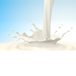 Milk Collectors