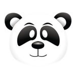Team panda group