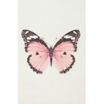 Butterflyz for life