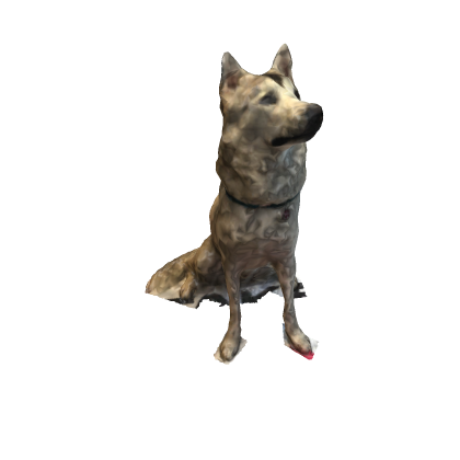 Realistic Dog
