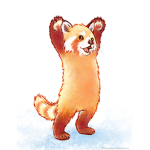 red panda club!!!!!!!!!!!