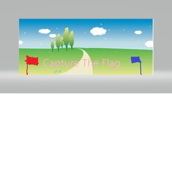 Capture The Flag