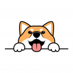 Shiba's United