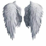 harpsangels