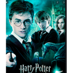 hp pros