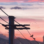 𝘁𝗵𝗲𝗿𝗲'𝘀