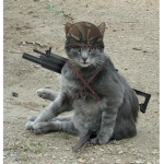 The Kat Army