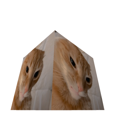 Cat Cube