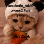 aesthetic_robloxvans2 Fan group