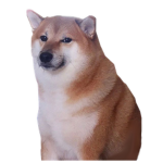 ﾑりんり