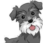 The schnauzers :3